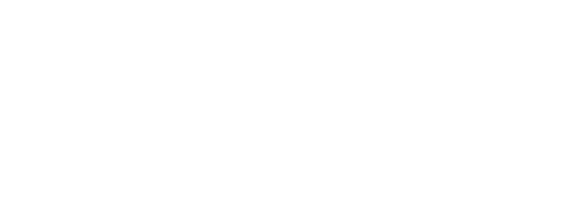 Busineswise